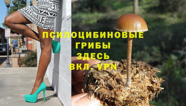 шишки Абинск