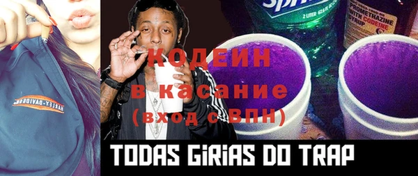 шишки Михайловка