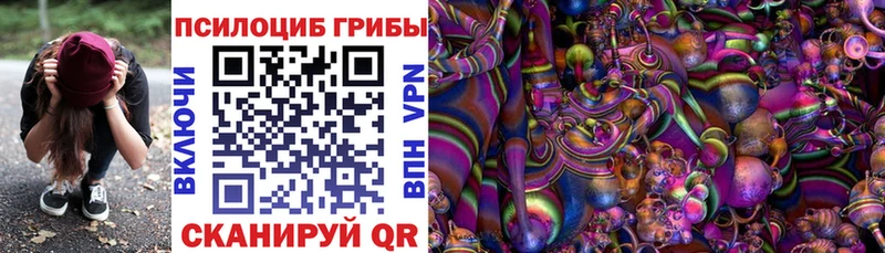 кракен онион  Абаза  Псилоцибиновые грибы GOLDEN TEACHER 